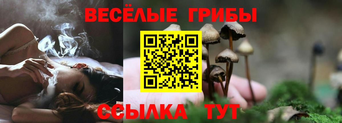 Псилоцибиновые грибы Psilocybine cubensis  Псилоцибиновые грибы мухоморы  Дмитров  Вход с VPN 